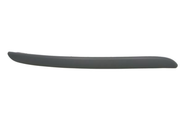 BLIC 5513-00-1608922Q Trim/Protection Strip, bumper