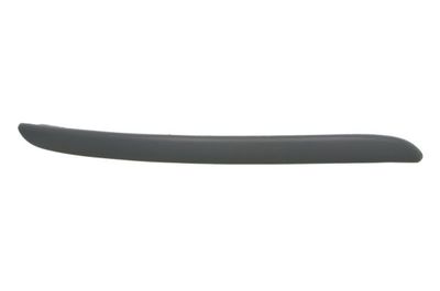Trim/Protection Strip, bumper BLIC 5513-00-1608922Q