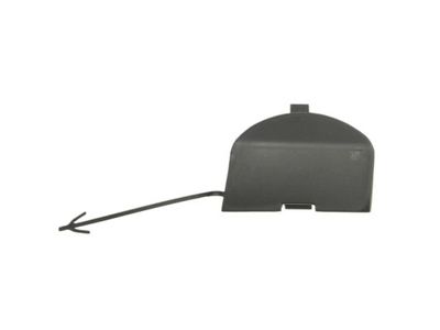 Bumper Cover, trailer hitch BLIC 5513-00-2013920P