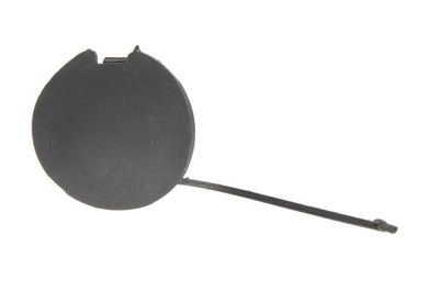 Bumper Cover, trailer hitch BLIC 5513-00-2031920P