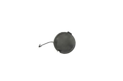 Bumper Cover, trailer hitch BLIC 5513-00-2045920P
