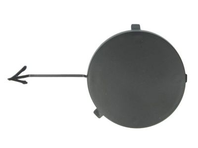 Bumper Cover, trailer hitch BLIC 5513-00-2532920P