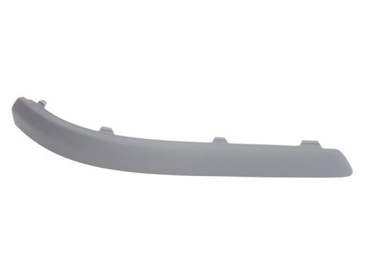 BLIC 5513-00-2533980P Trim/Protection Strip, bumper