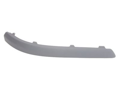 Trim/Protection Strip, bumper BLIC 5513-00-2533980P