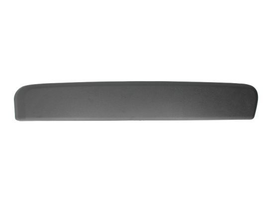 BLIC 5513-00-2534924P Trim/Protection Strip, bumper