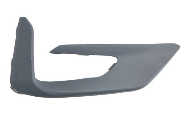 BLIC 5513-00-2595922P Trim/Protection Strip, bumper
