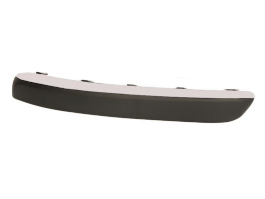 BLIC 5513-00-5537921P Trim/Protection Strip, bumper