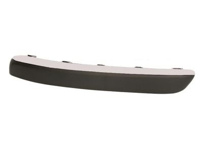 Trim/Protection Strip, bumper BLIC 5513-00-5537921P