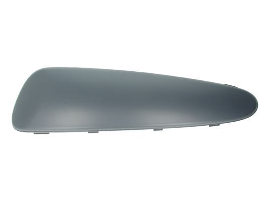 BLIC 5513-00-8101921P Trim/Protection Strip, bumper