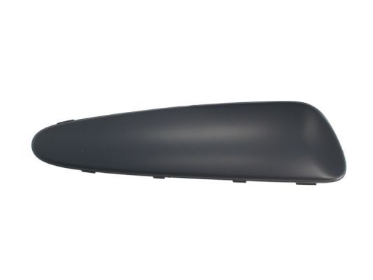 BLIC 5513-00-8101922P Trim/Protection Strip, bumper
