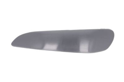 Trim/Protection Strip, bumper BLIC 5513-00-8101925Q