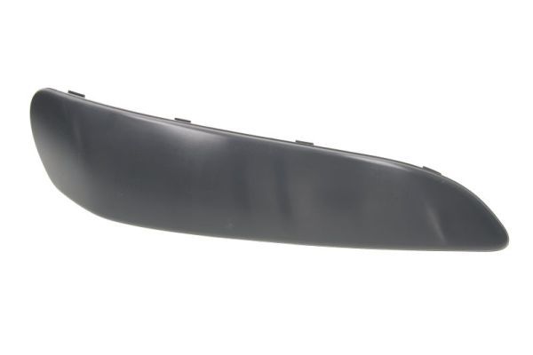 BLIC 5513-00-8101926Q Trim/Protection Strip, bumper