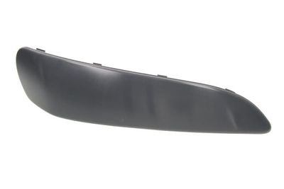 Trim/Protection Strip, bumper BLIC 5513-00-8101926Q