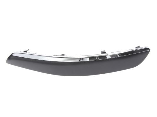 BLIC 5513-00-9545925PP Trim/Protection Strip, bumper