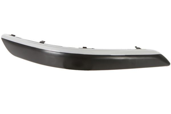 BLIC 5513-00-9545926PP Trim/Protection Strip, bumper