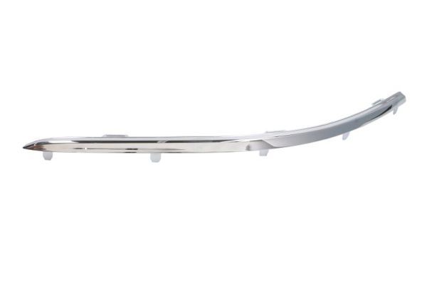 BLIC 5513-00-9545929P Trim/Protection Strip, bumper