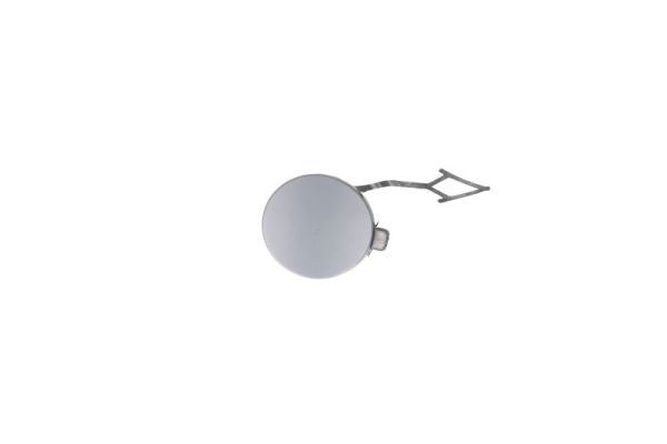 BLIC 5513-00-9551920P Flap, tow hook