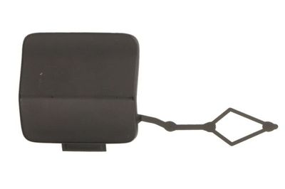 Bumper Cover, trailer hitch BLIC 5513-00-9563923P
