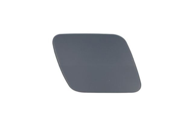 BLIC 5513-00-9586918P Cover, bumper