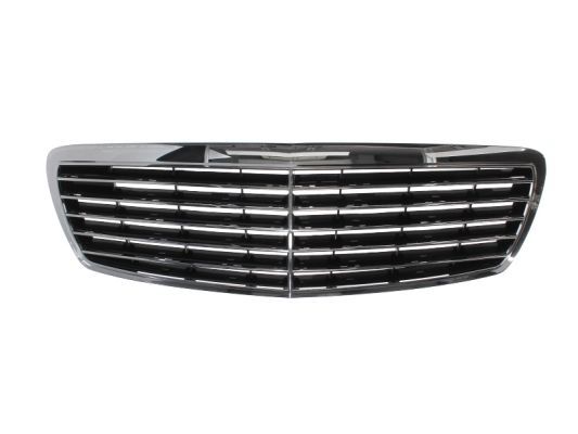 BLIC 5601-00-3528990P Radiator Grille