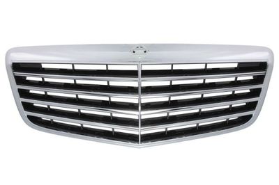 Radiator Grille BLIC 5601-00-3528993P
