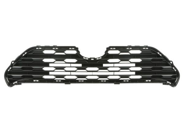 BLIC 5601-00-8186990P Radiator Grille