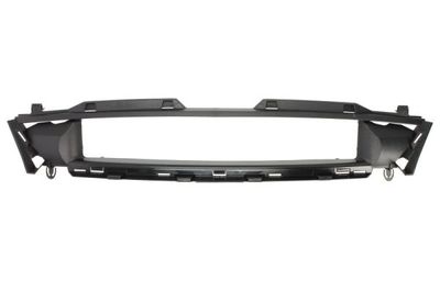 Radiator Grille BLIC 5601-00-2563990P