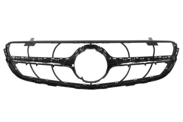 BLIC 5601-00-3533990PP Radiator Grille