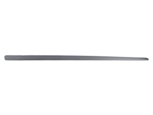 BLIC 5703-02-2023483P Trim/Protection Strip, wing