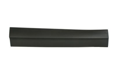 Trim/Protection Strip, door BLIC 5703-02-9588971P