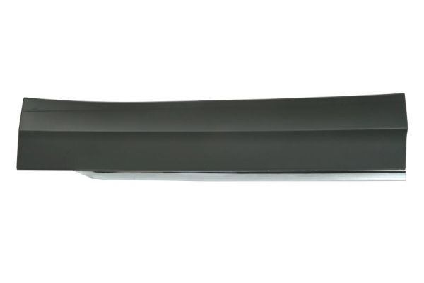 BLIC 5703-02-9588972P Trim/Protection Strip, door