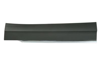 Trim/Protection Strip, door BLIC 5703-02-9588972P