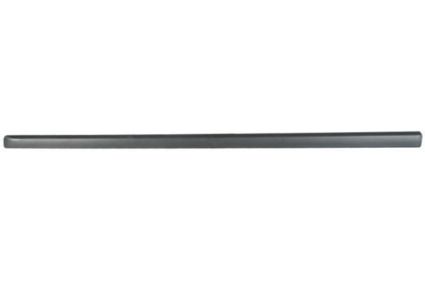BLIC 5703-04-0019575P Trim/Protection Strip, wing