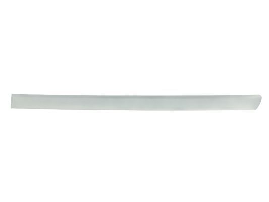 BLIC 5703-04-0019577P Trim/Protection Strip, wing