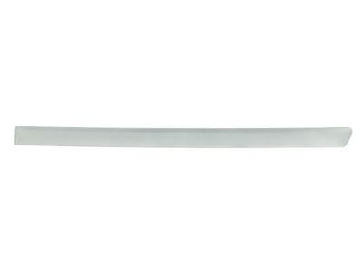 Trim/Protection Strip, wing BLIC 5703-04-0019577P
