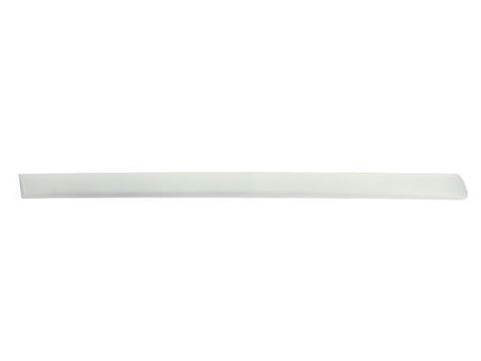 BLIC 5703-04-0019578P Trim/Protection Strip, wing
