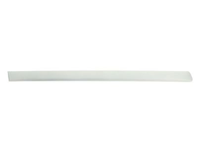 Trim/Protection Strip, wing BLIC 5703-04-0019578P