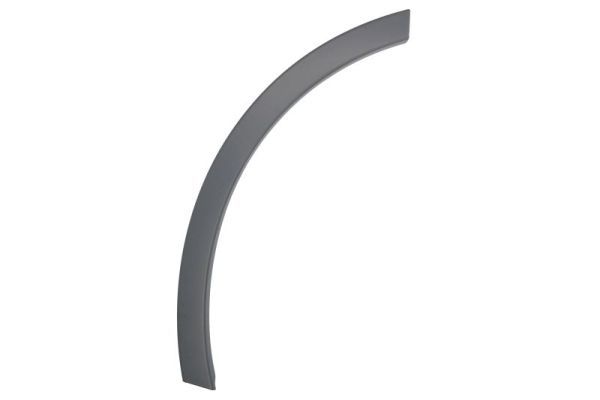 BLIC 5703-04-0041471P Trim/Protection Strip, wing