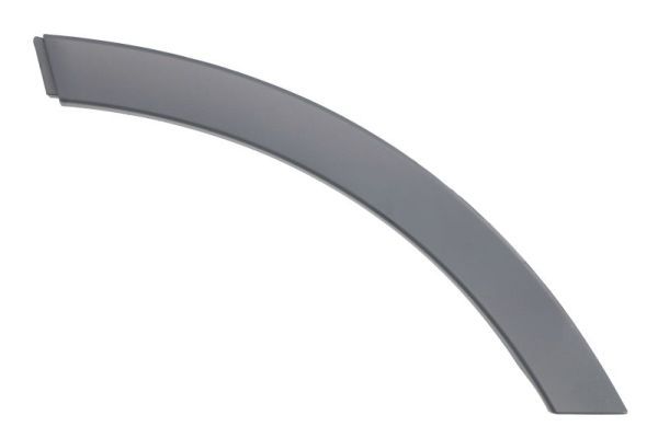 BLIC 5703-04-0041472P Trim/Protection Strip, wing