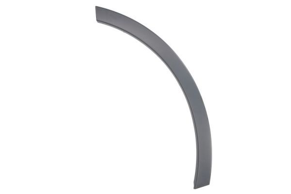 BLIC 5703-04-0041473P Trim/Protection Strip, wing