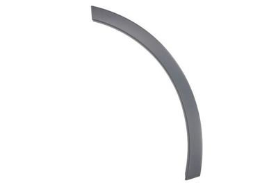 Trim/Protection Strip, wing BLIC 5703-04-0041473P