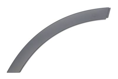 Trim/Protection Strip, wing BLIC 5703-04-0041474P