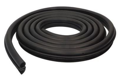 Door Seal BLIC 5703-04-0060501P