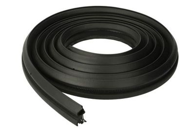 Door Seal BLIC 5703-04-0060507P