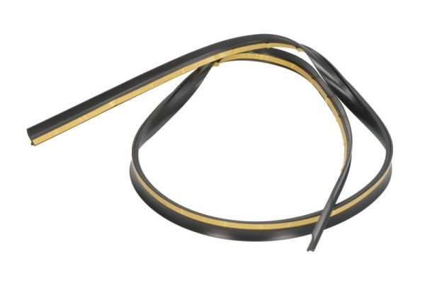 BLIC 5703-04-0063102P Seal, windscreen