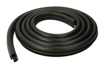 Door Seal BLIC 5703-04-0065502P