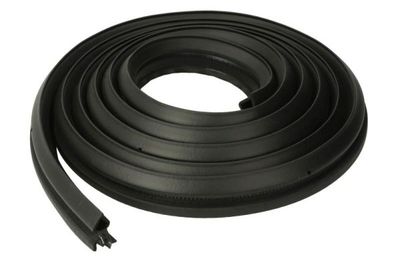 Door Seal BLIC 5703-04-0066507P