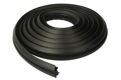 Door Seal BLIC 5703-04-0085507P
