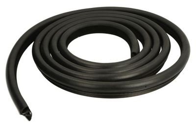 Door Seal BLIC 5703-04-0093501P
