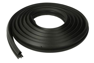 Door Seal BLIC 5703-04-0093507P